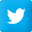 twitter_icon